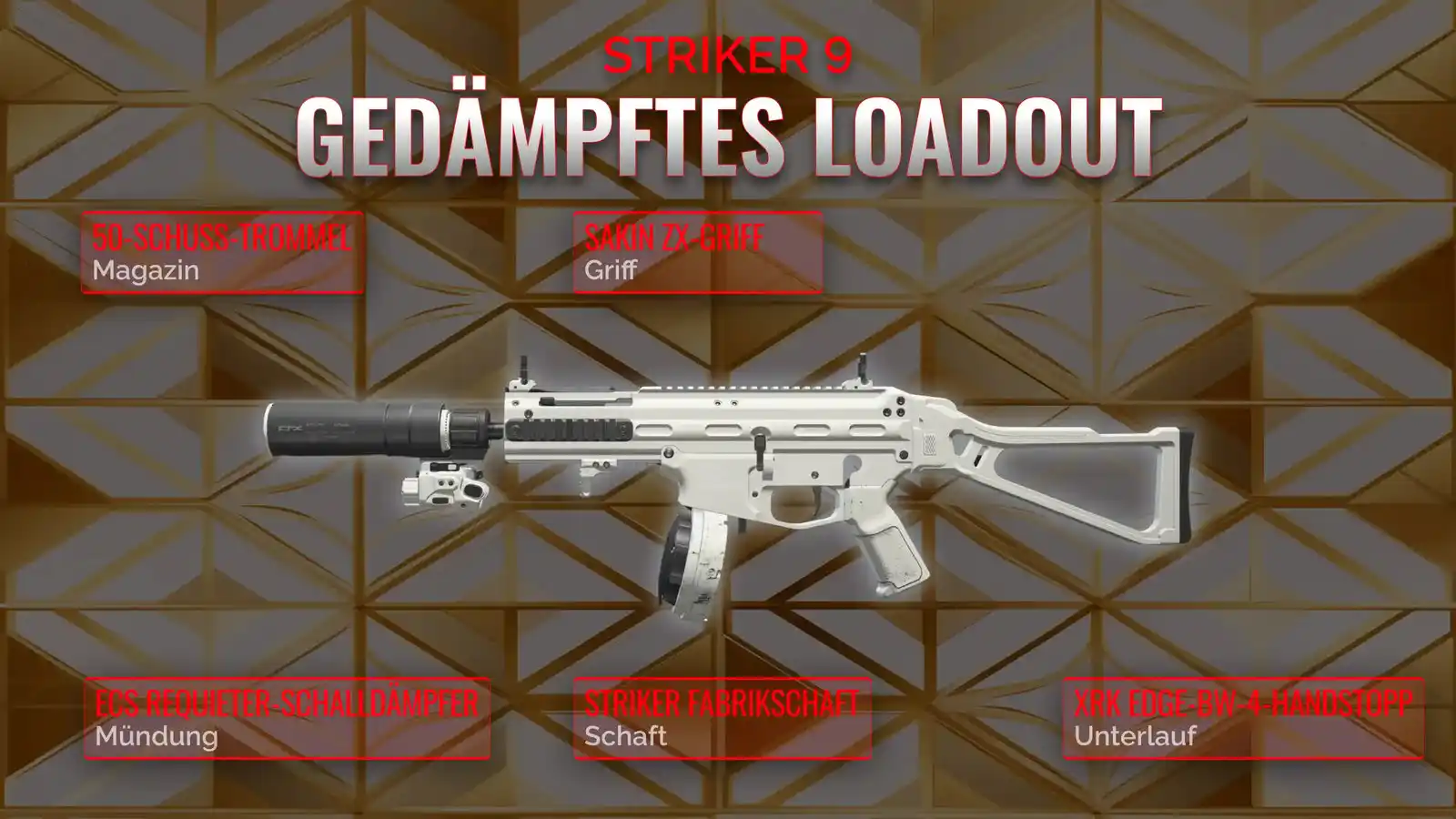 Die ultimative Anleitung für das Striker 9: So meistert man das stille Loadout