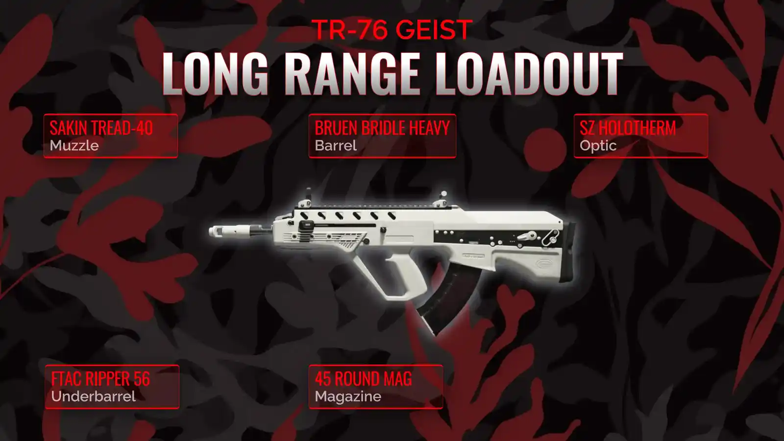 Field Domination: TR-76 Geist Uncovered - Your Guide to the Optimum long range Loadout