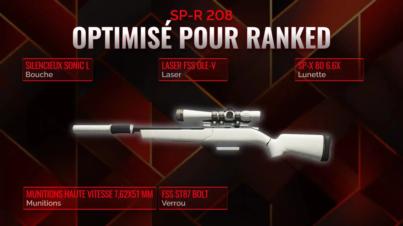Dominer Battle Royale avec SP-R 208: Guide détaillé de la meilleure classe