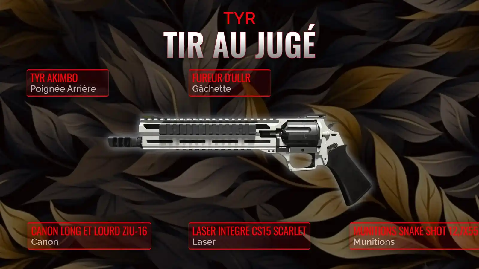 TYR Déchaîné: Le Manuel Complet pour la Classe de tir au jugé