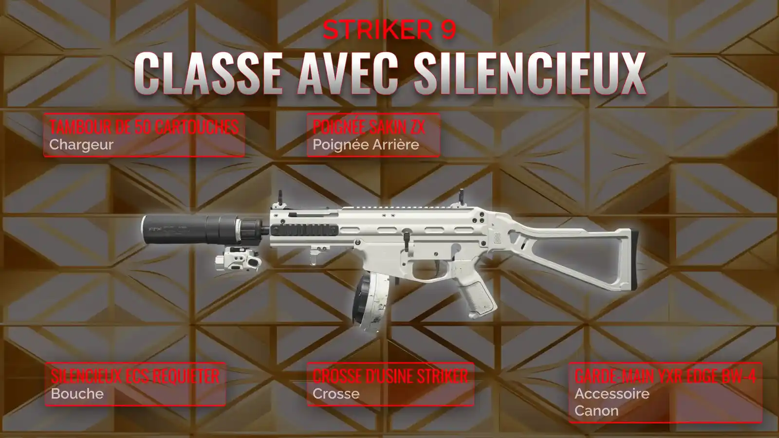 Striker 9: Conception d'une classe optimisée pour le Warzone en mode silence