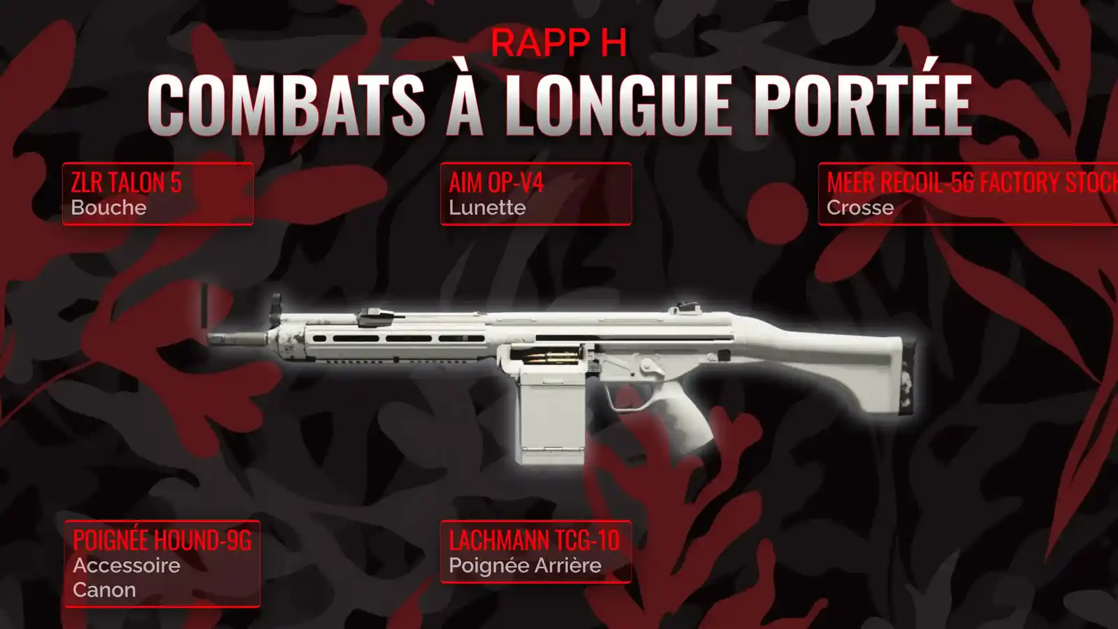 Peaufiner le Rapp H: Un Guide Détaillé Pour la Classe Longue Portée Ultime