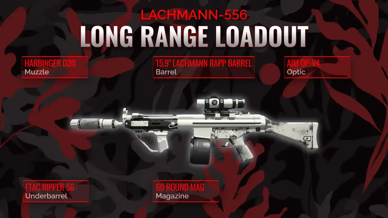 Conquering the Distance: Unveiling the optimum Lachmann-556 Loadout for long range