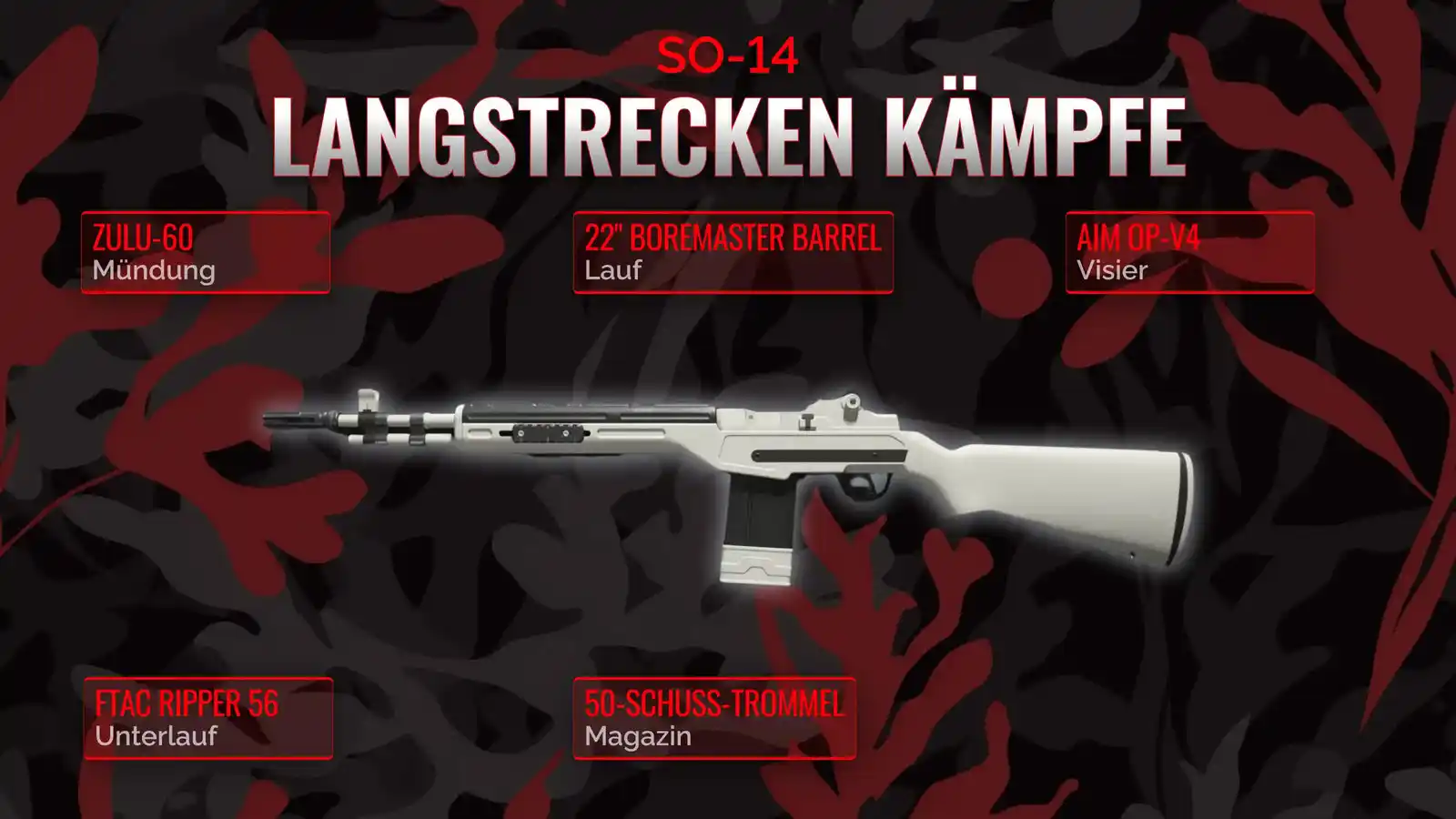 SO-14 im Rampenlicht: Der ultimative Leitfaden für das lange Strecken Loadout