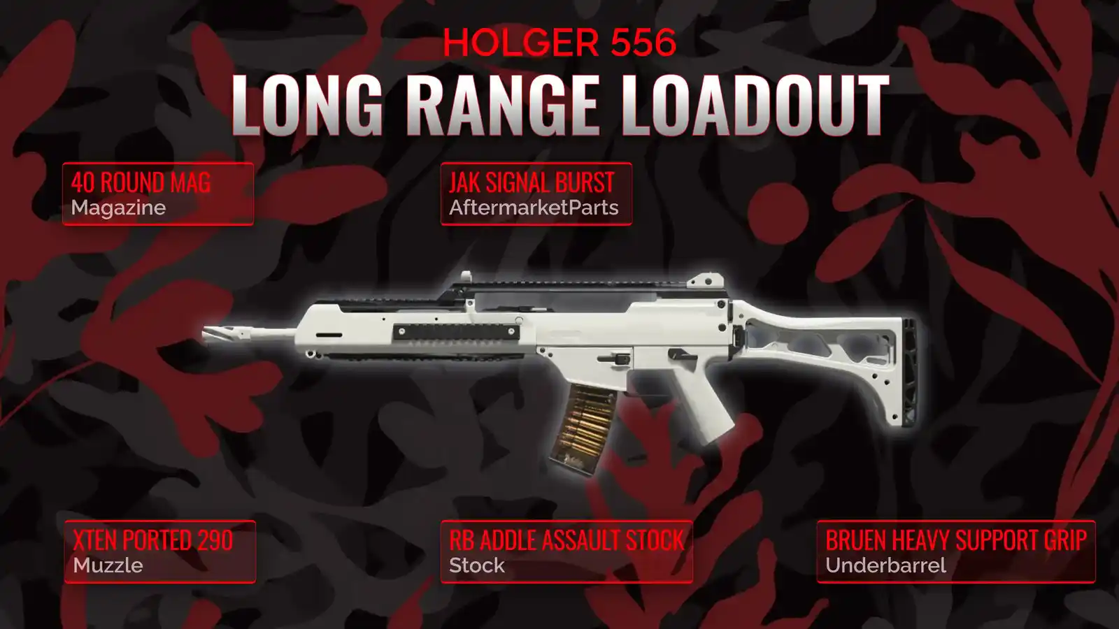 Holger 556 Dominance: An Unstoppable long range Loadout