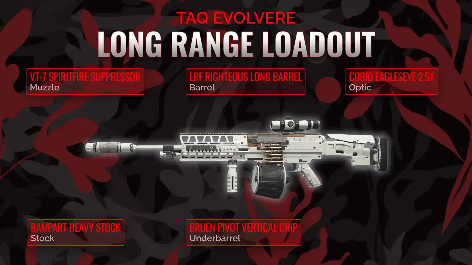 TAQ Evolvere Demystified: Conquering Long Range in Warzone