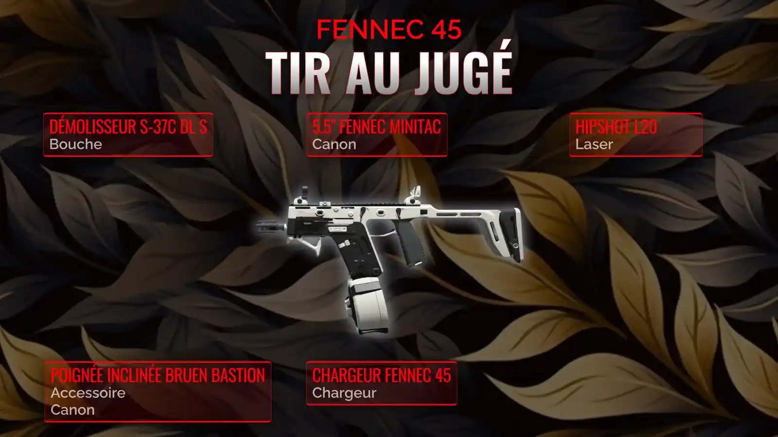 Clause de Fennec 45: Construire la classe ultime pour le tir au jugé