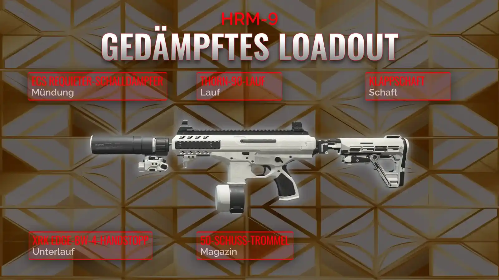 Die HRM-9-Dominanz: Der ultimative Leitfaden zum unterdrückten Loadout