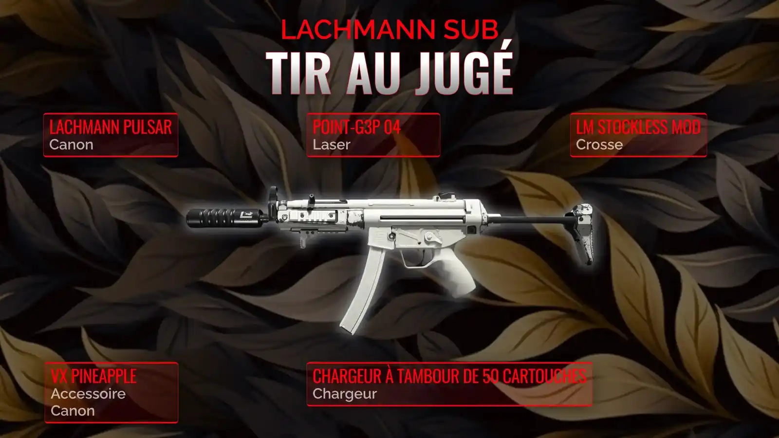 Lachmann Sub en liberté: Le manuel complet de la classe de tir au jugé